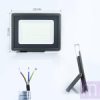 Світлодіодний прожектор BIOM 100W S5-SMD-100-Slim 6200К 220V IP65 - image 0