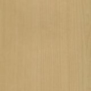 Клен светлый (ВДМ) 